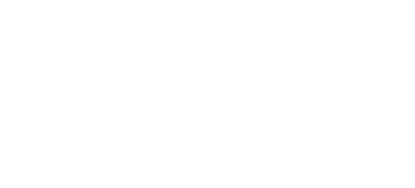 Raglan Tattoo - Tattoo Studio